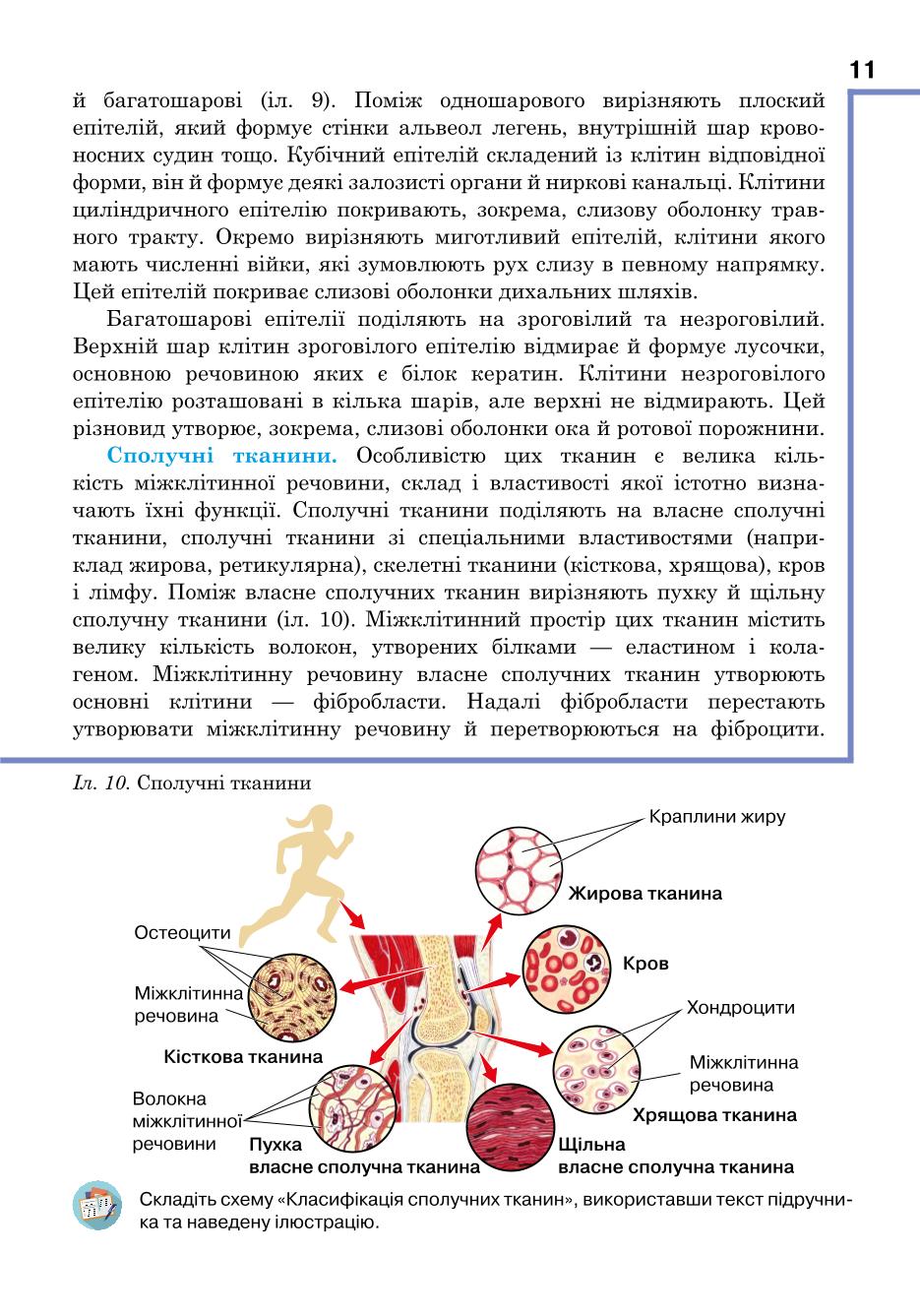 Мініатюра 11