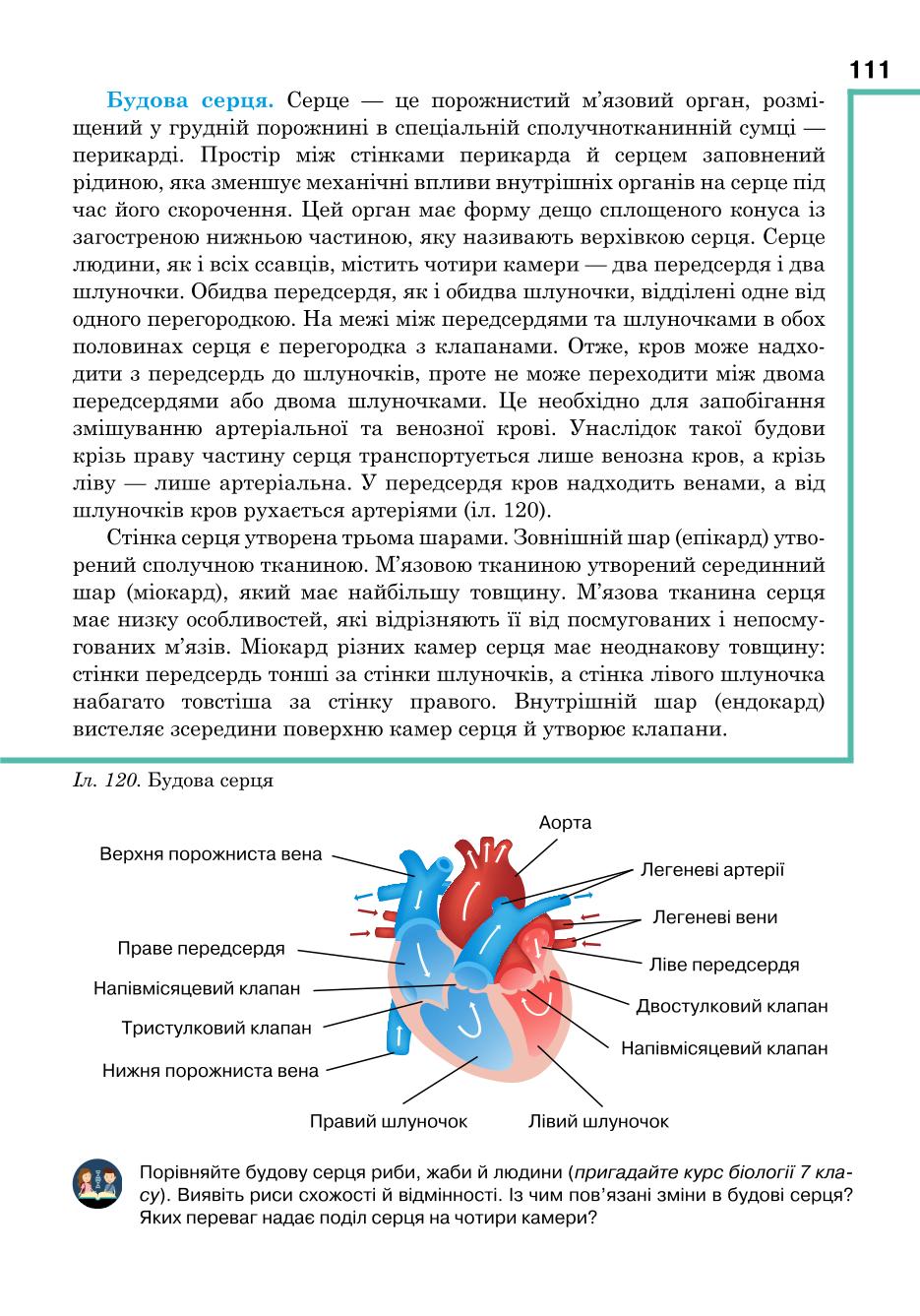 Мініатюра 111