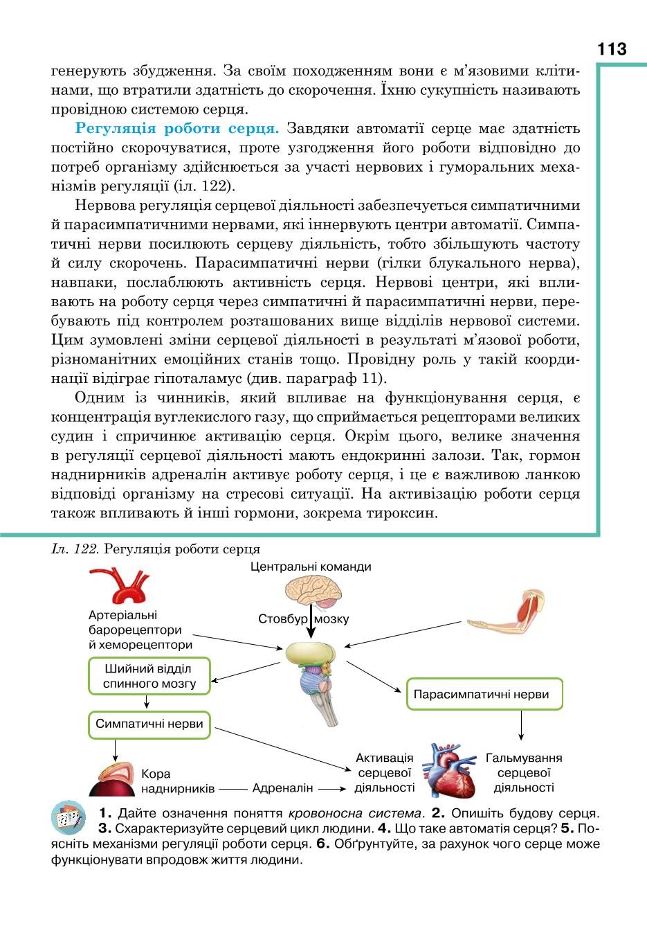 Мініатюра 113