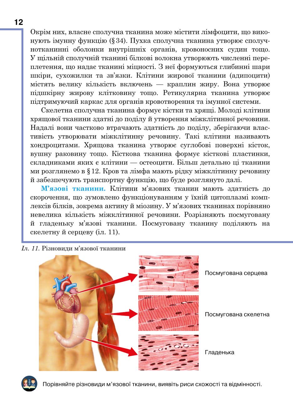 Мініатюра 12