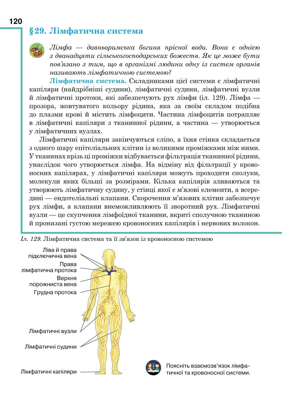 Мініатюра 120