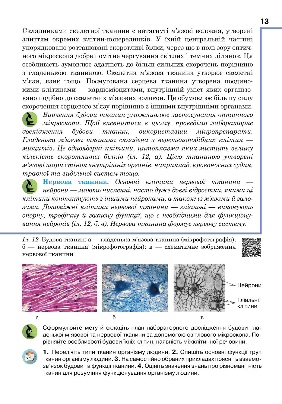 Мініатюра 13