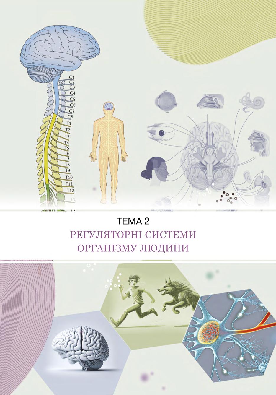 Мініатюра 21
