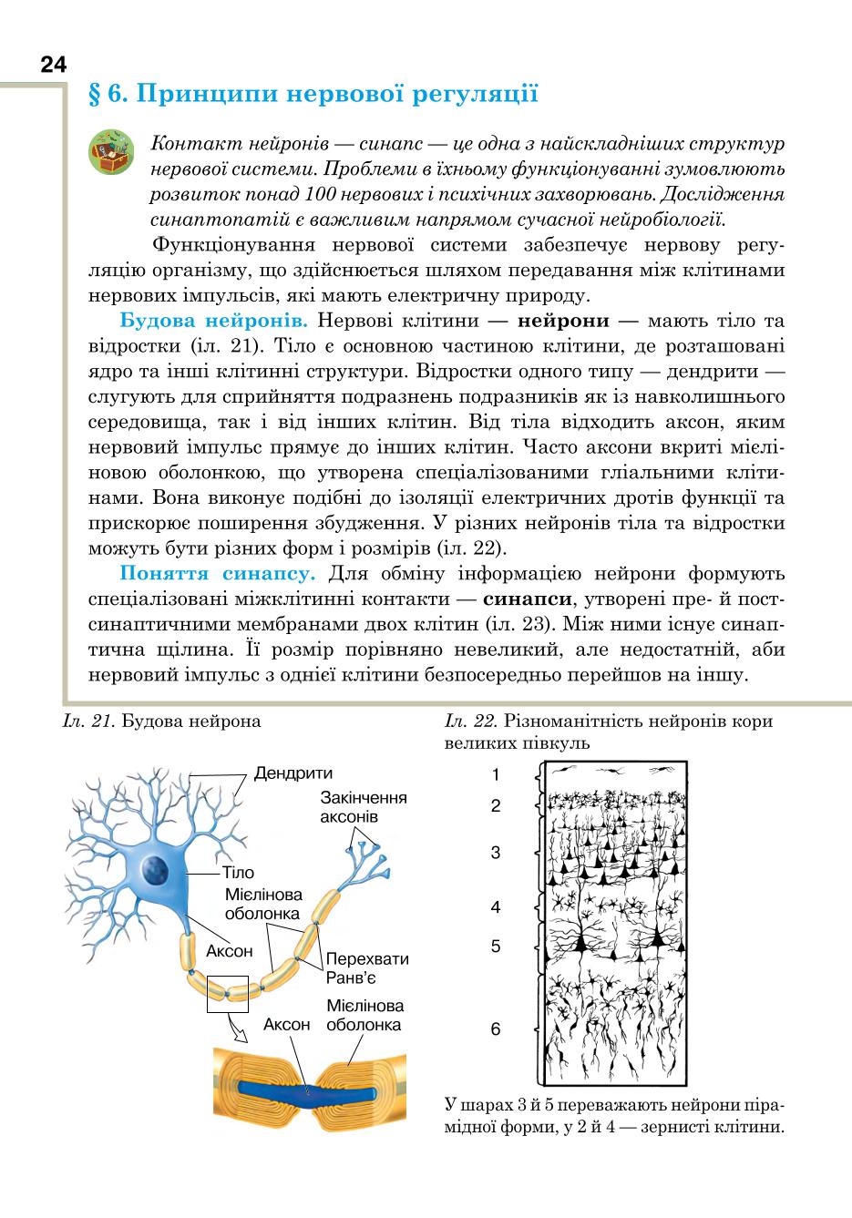 Мініатюра 24