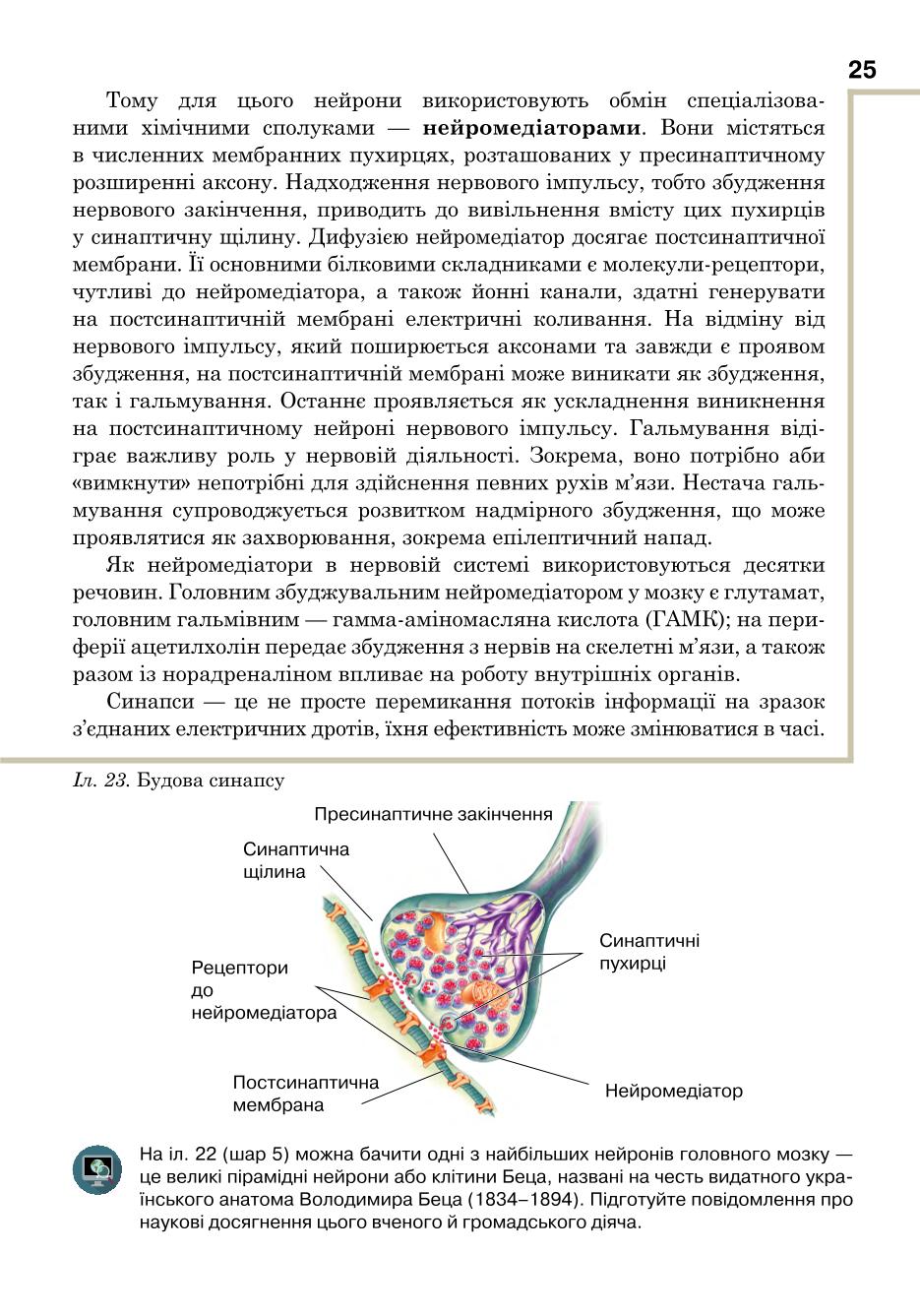 Мініатюра 25