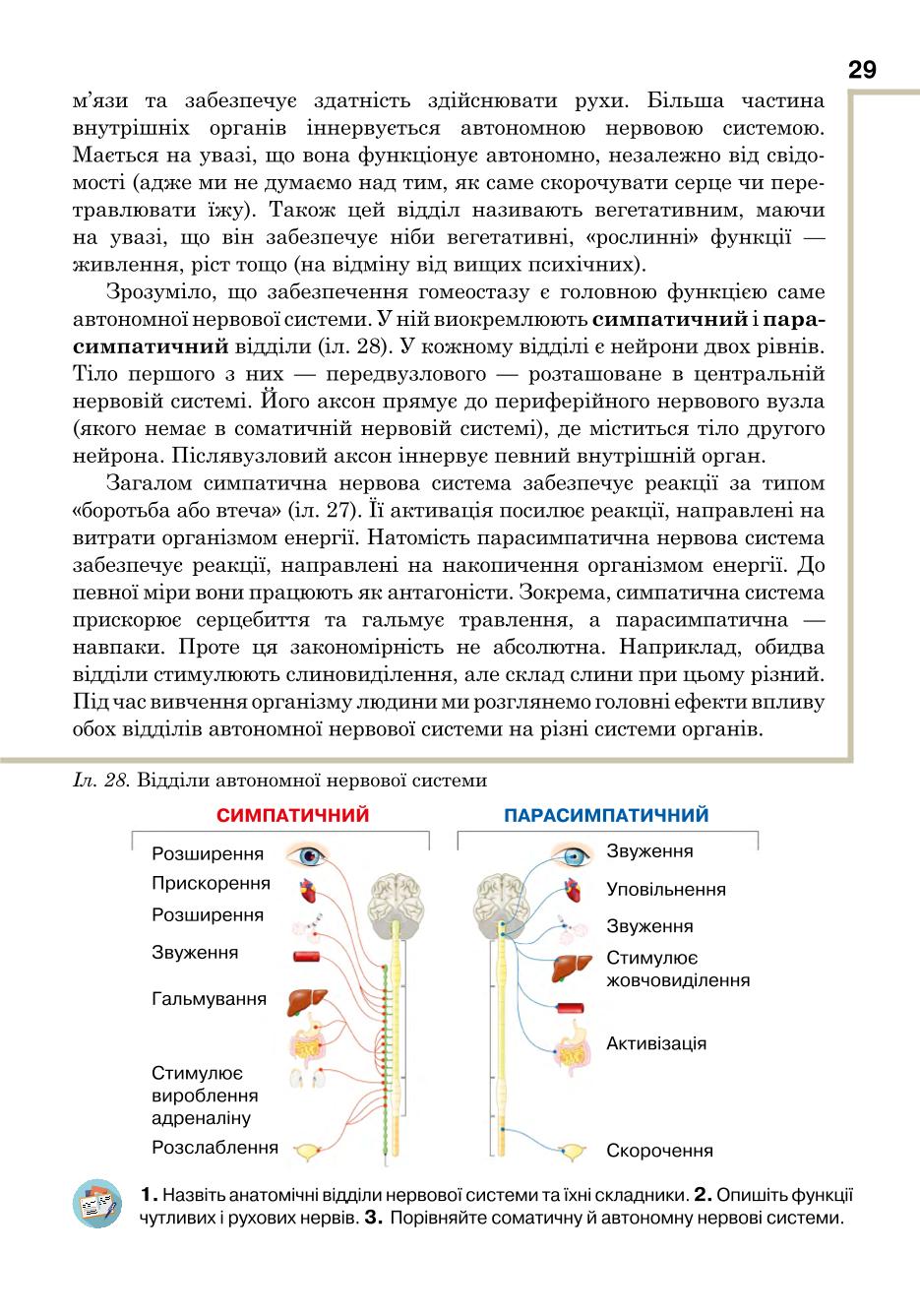 Мініатюра 29