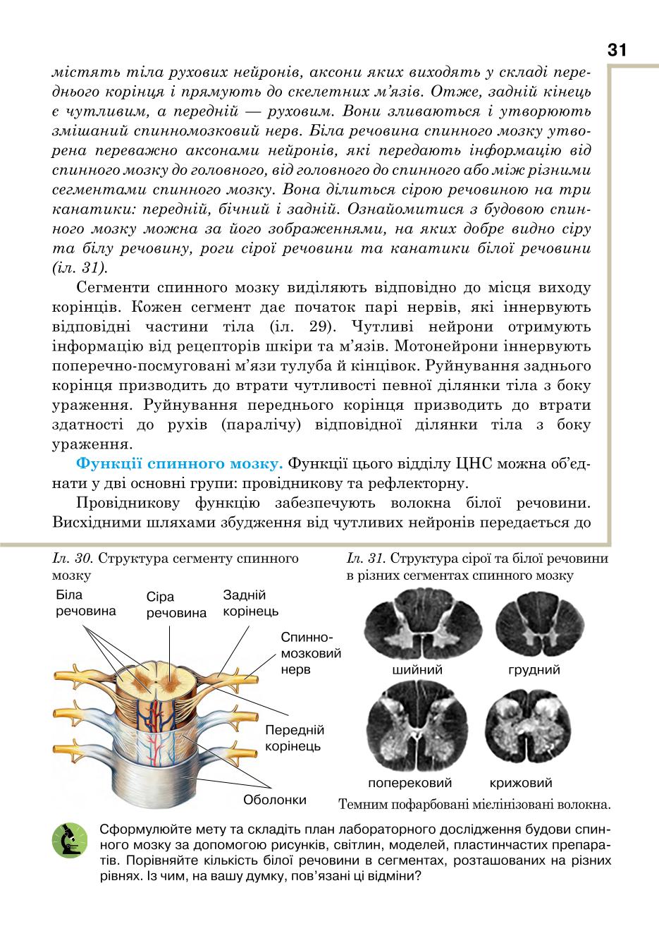Мініатюра 31