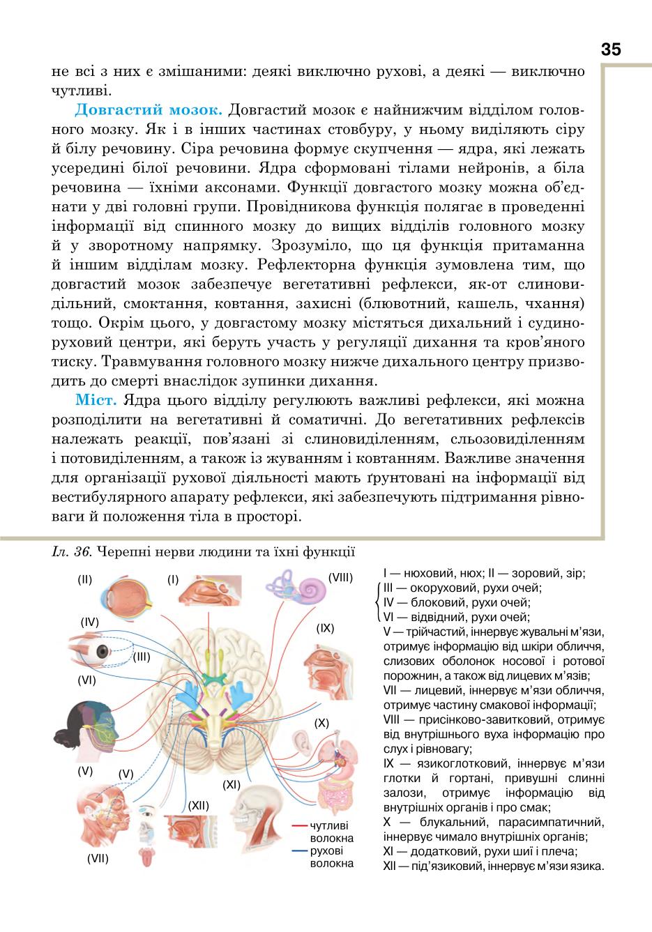 Мініатюра 35