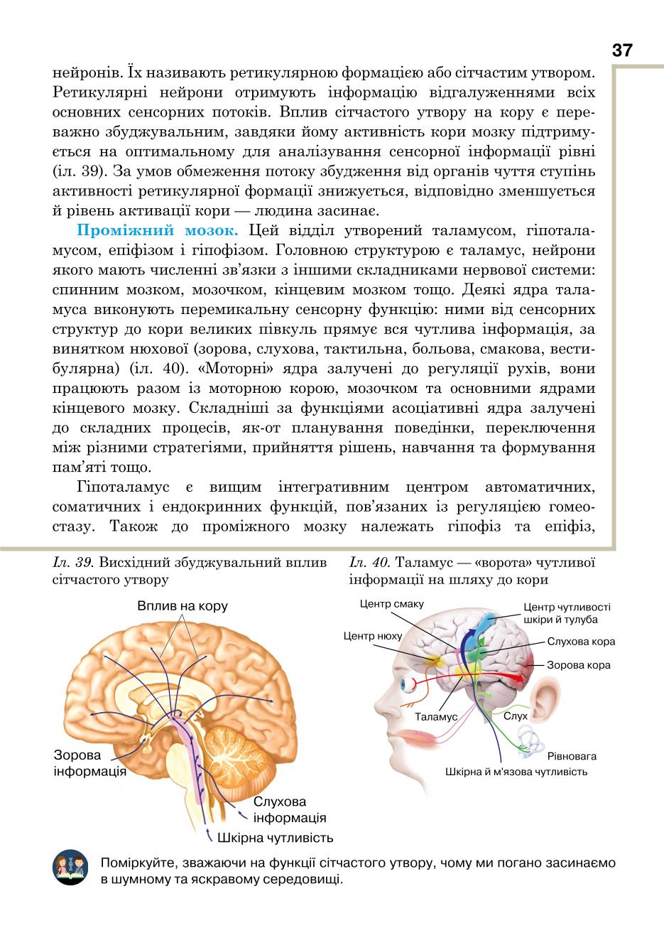 Мініатюра 37