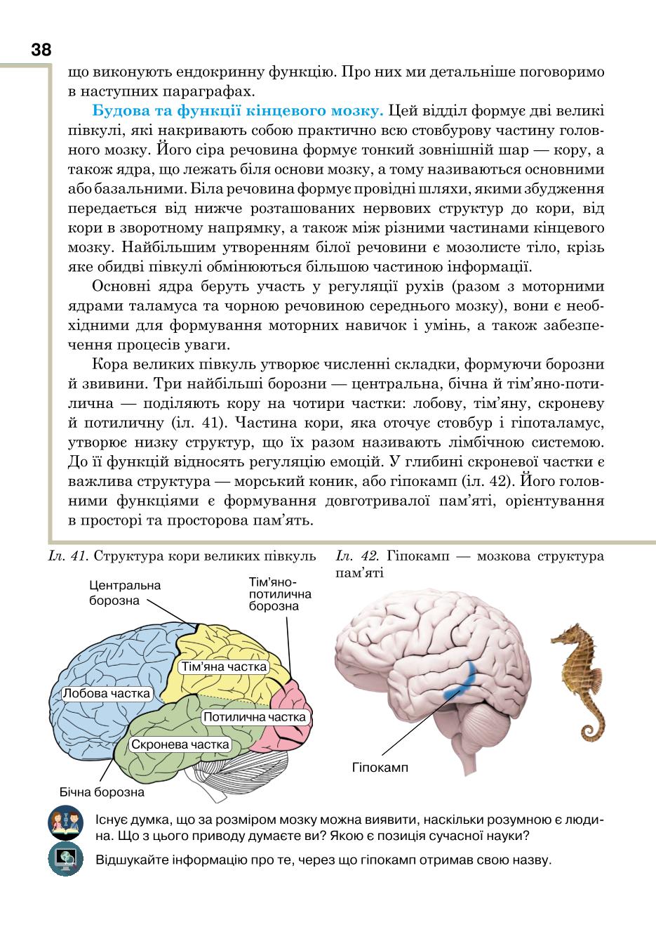 Мініатюра 38