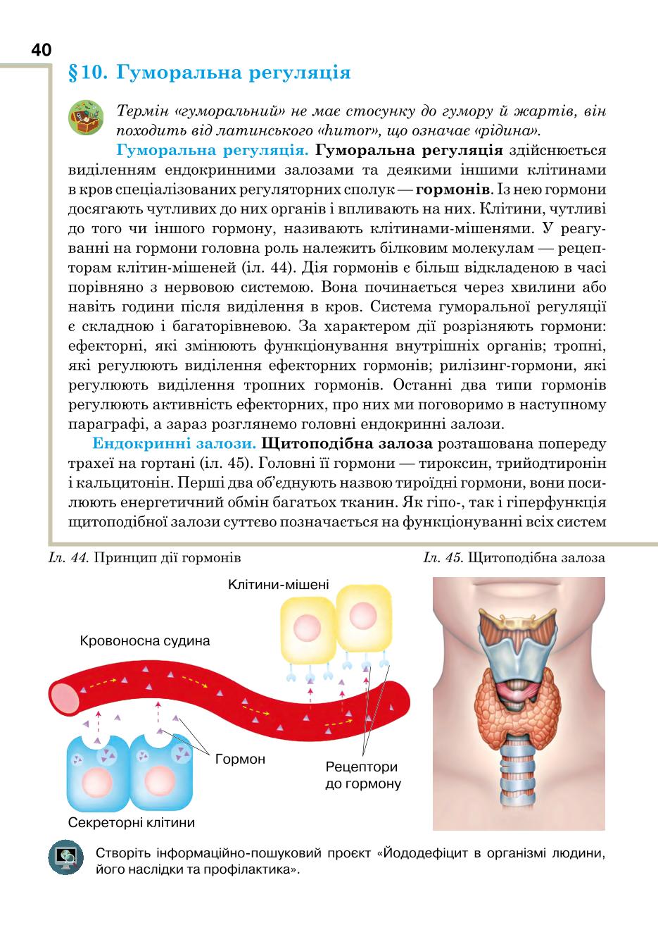 Мініатюра 40
