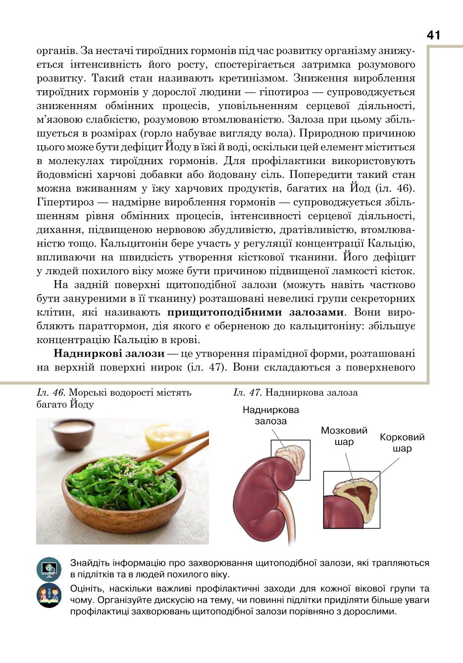 Мініатюра 41