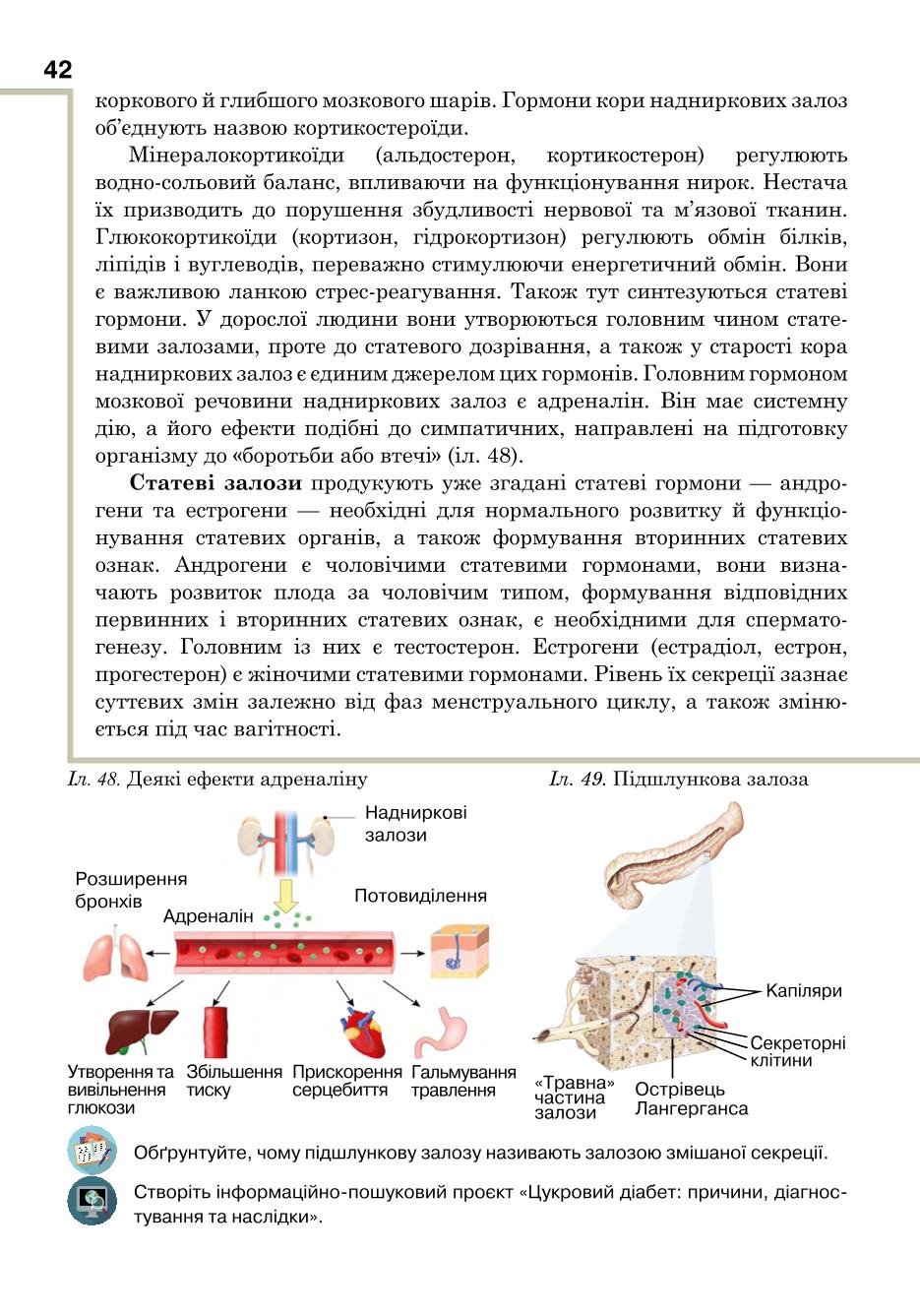 Мініатюра 42