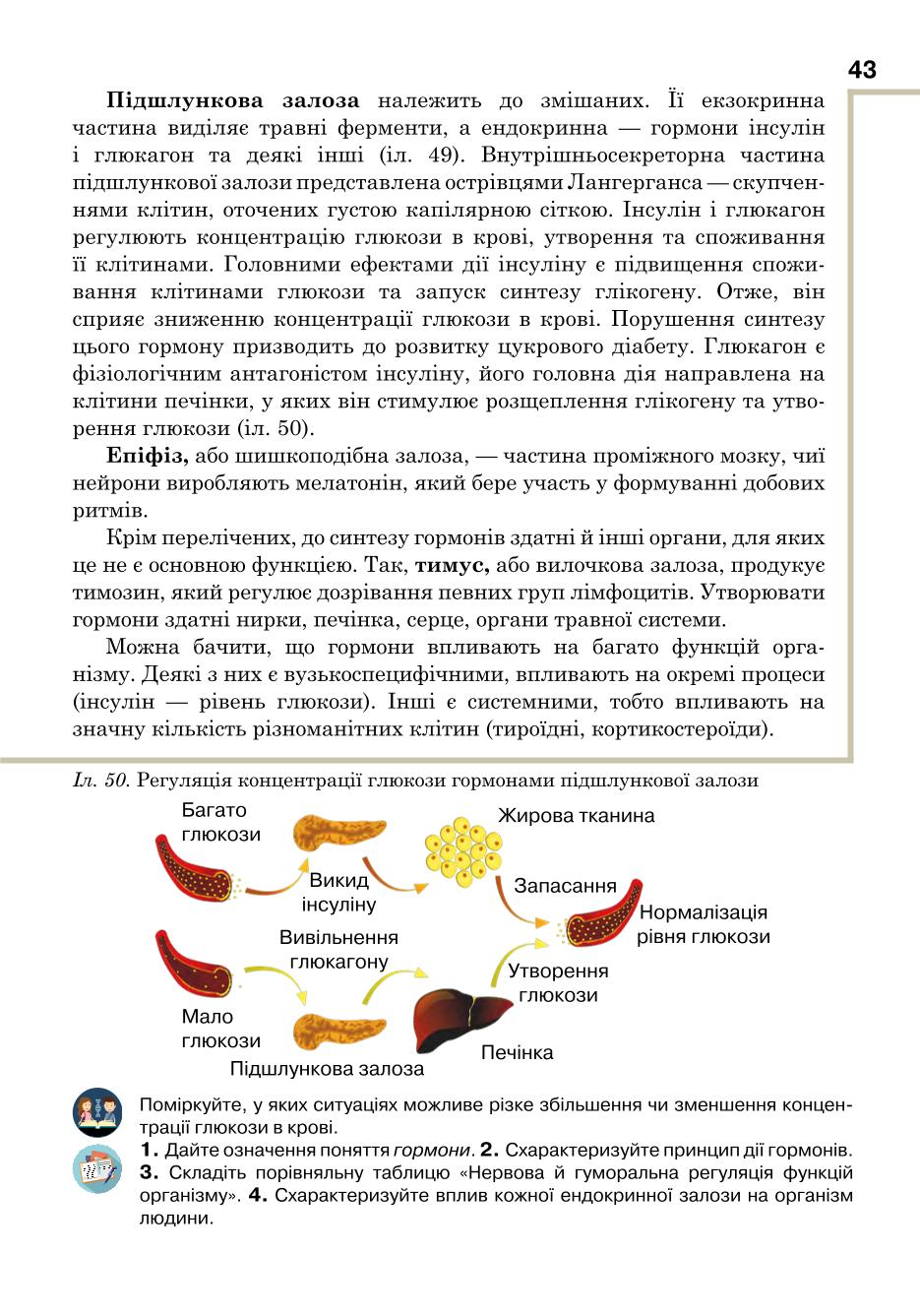 Мініатюра 43