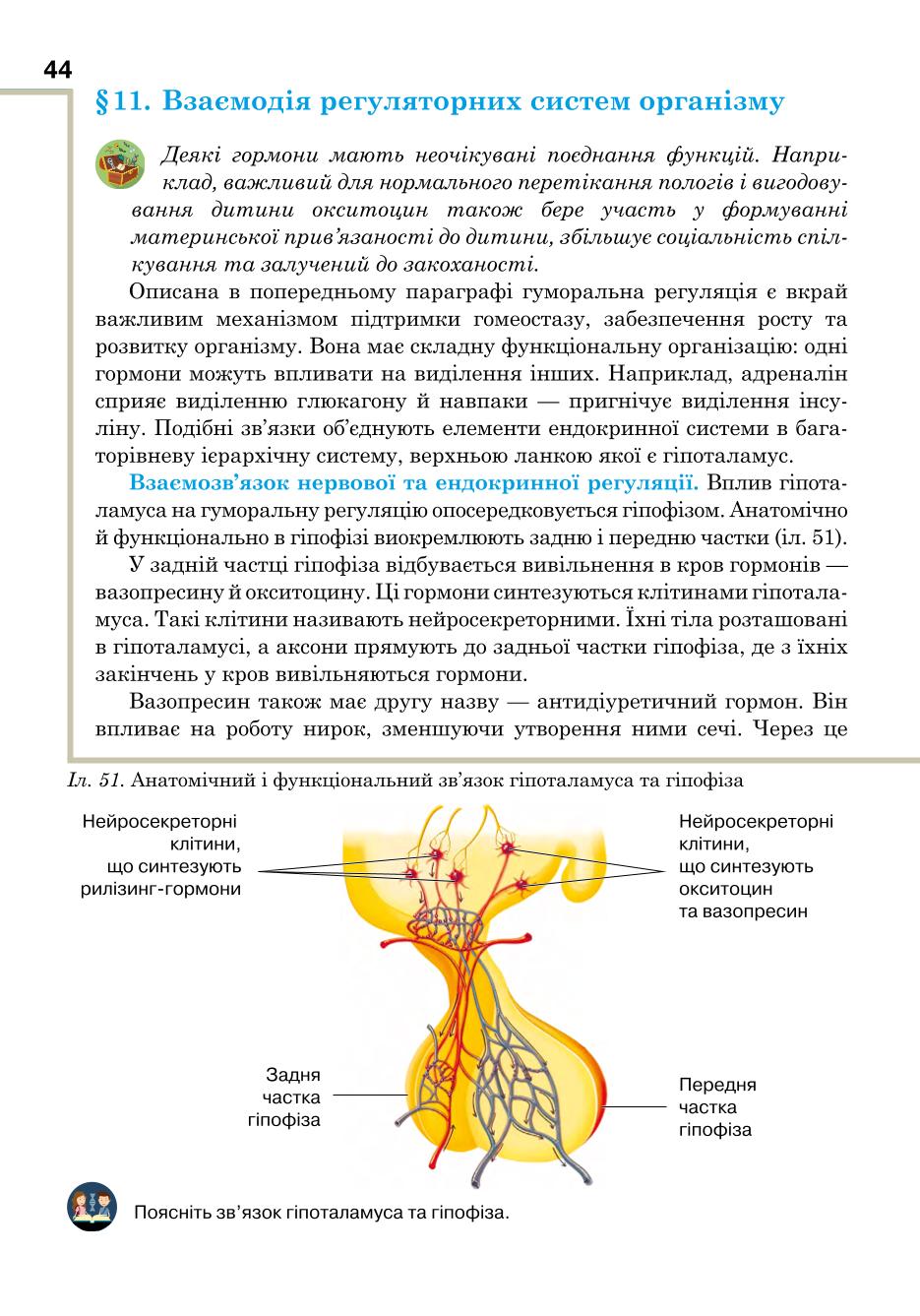 Мініатюра 44