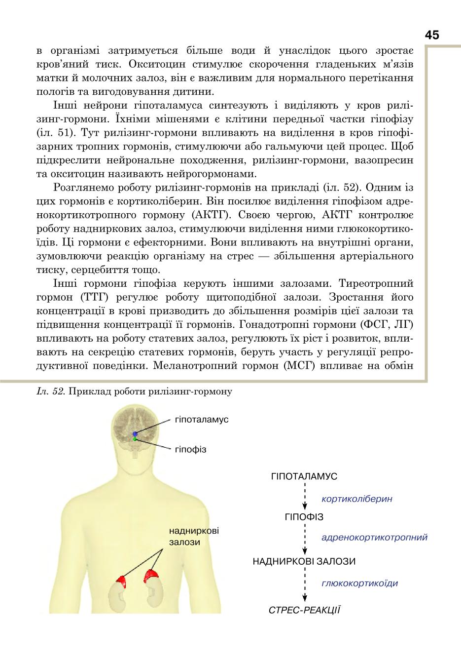 Мініатюра 45