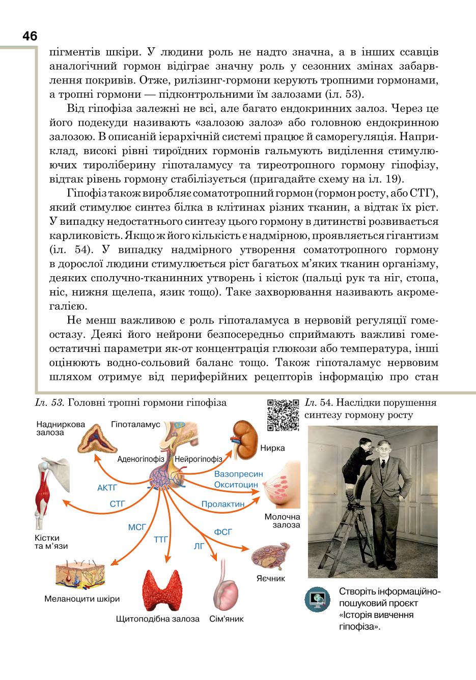 Мініатюра 46