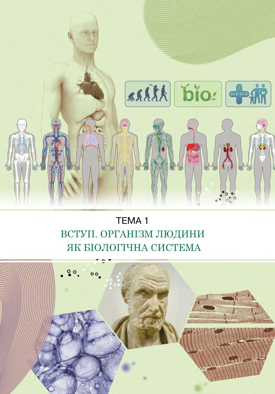 Мініатюра 5
