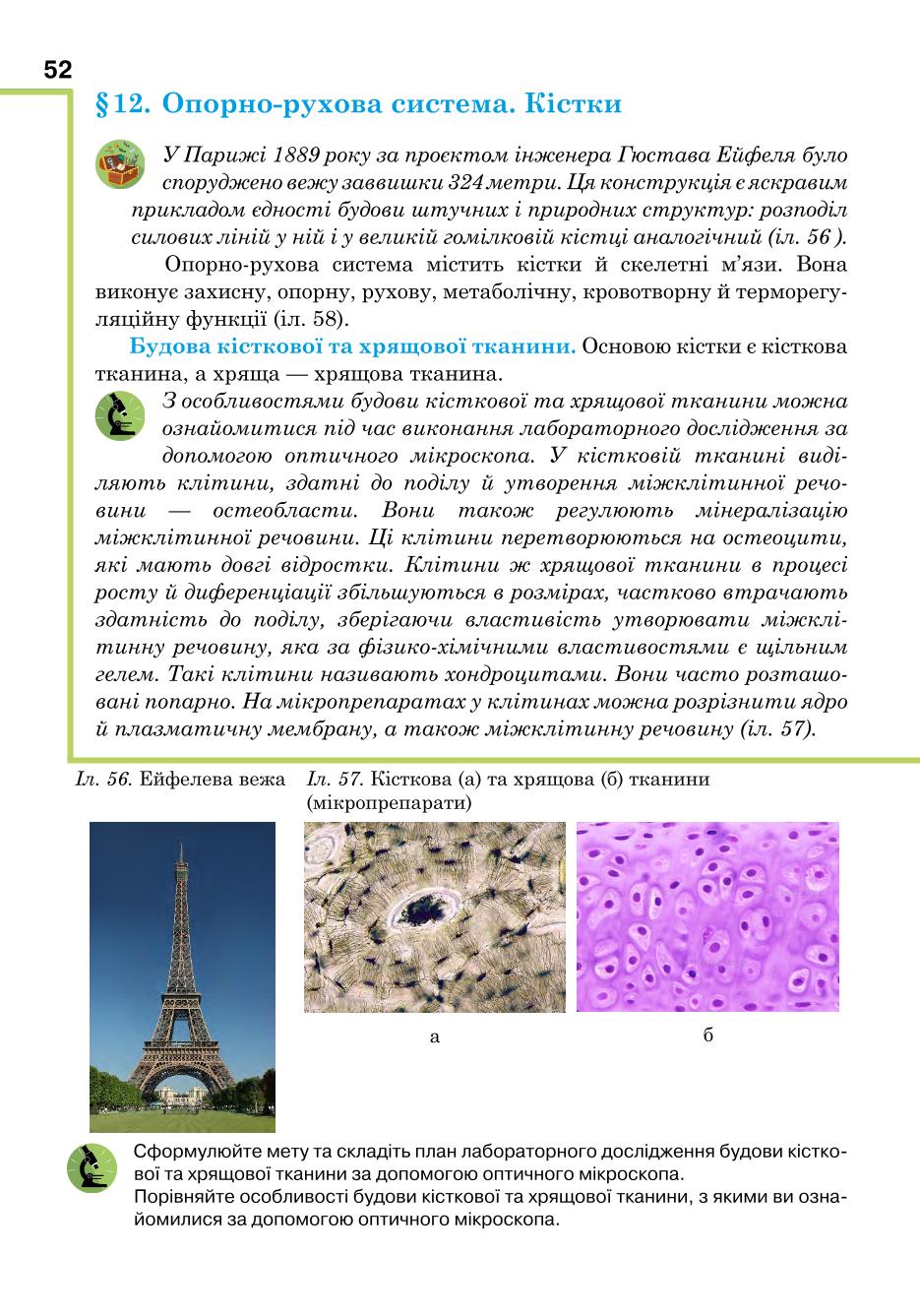 Мініатюра 52