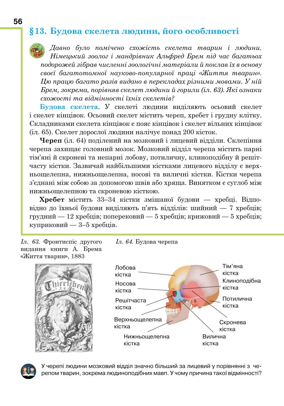 Мініатюра 56