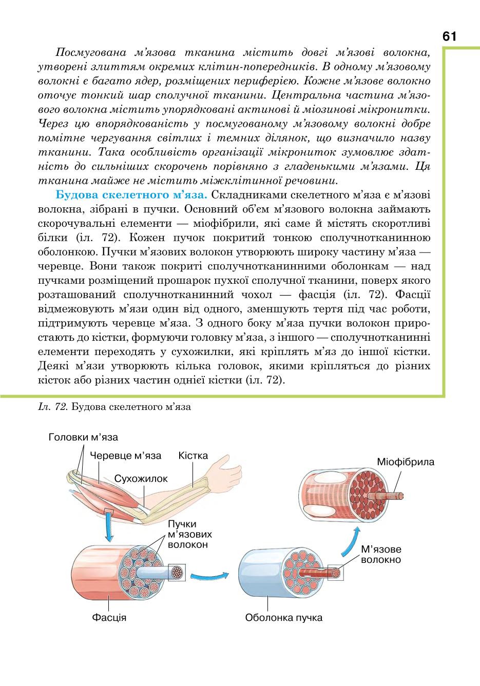 Мініатюра 61