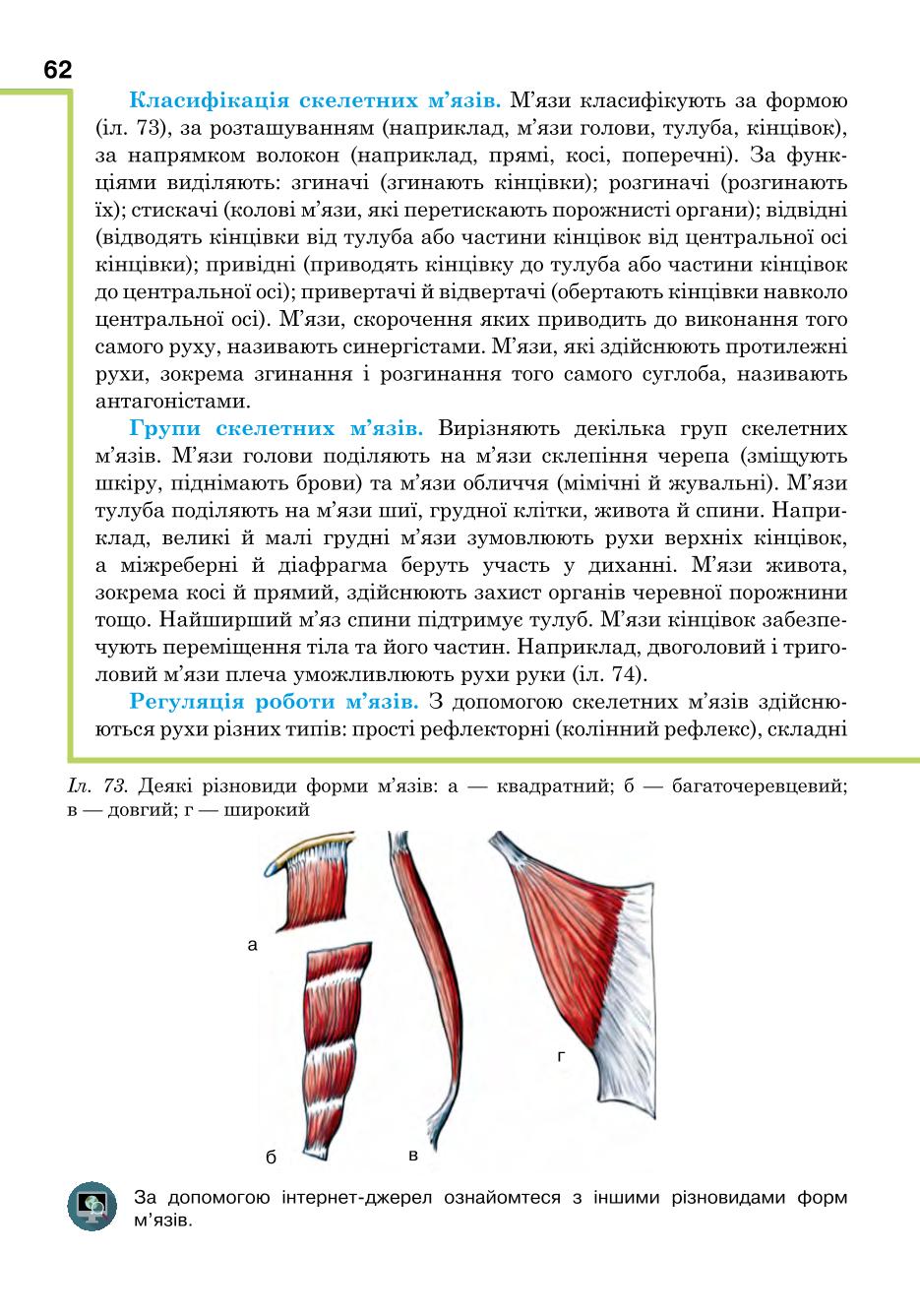 Мініатюра 62