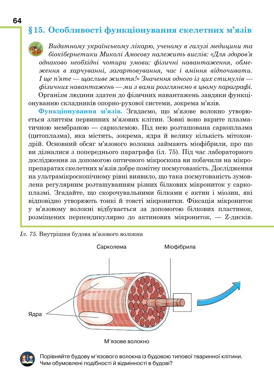 Мініатюра 64