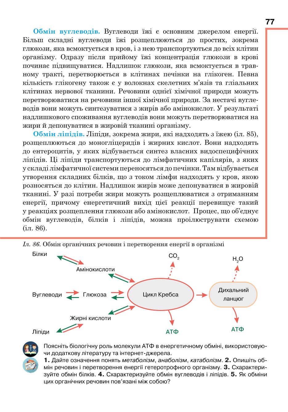Мініатюра 77