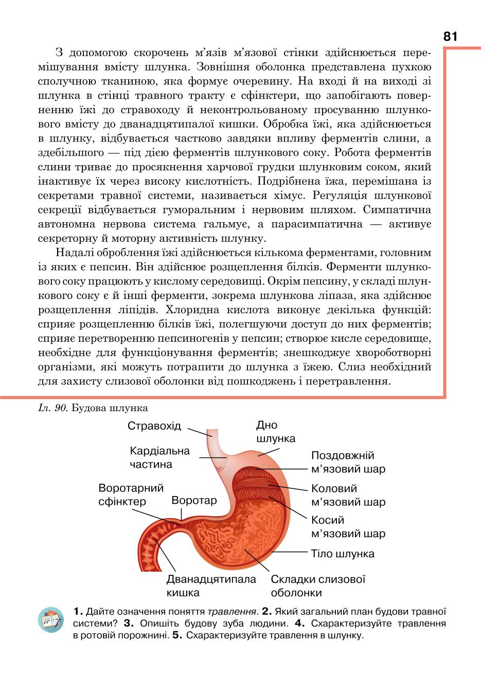 Мініатюра 81