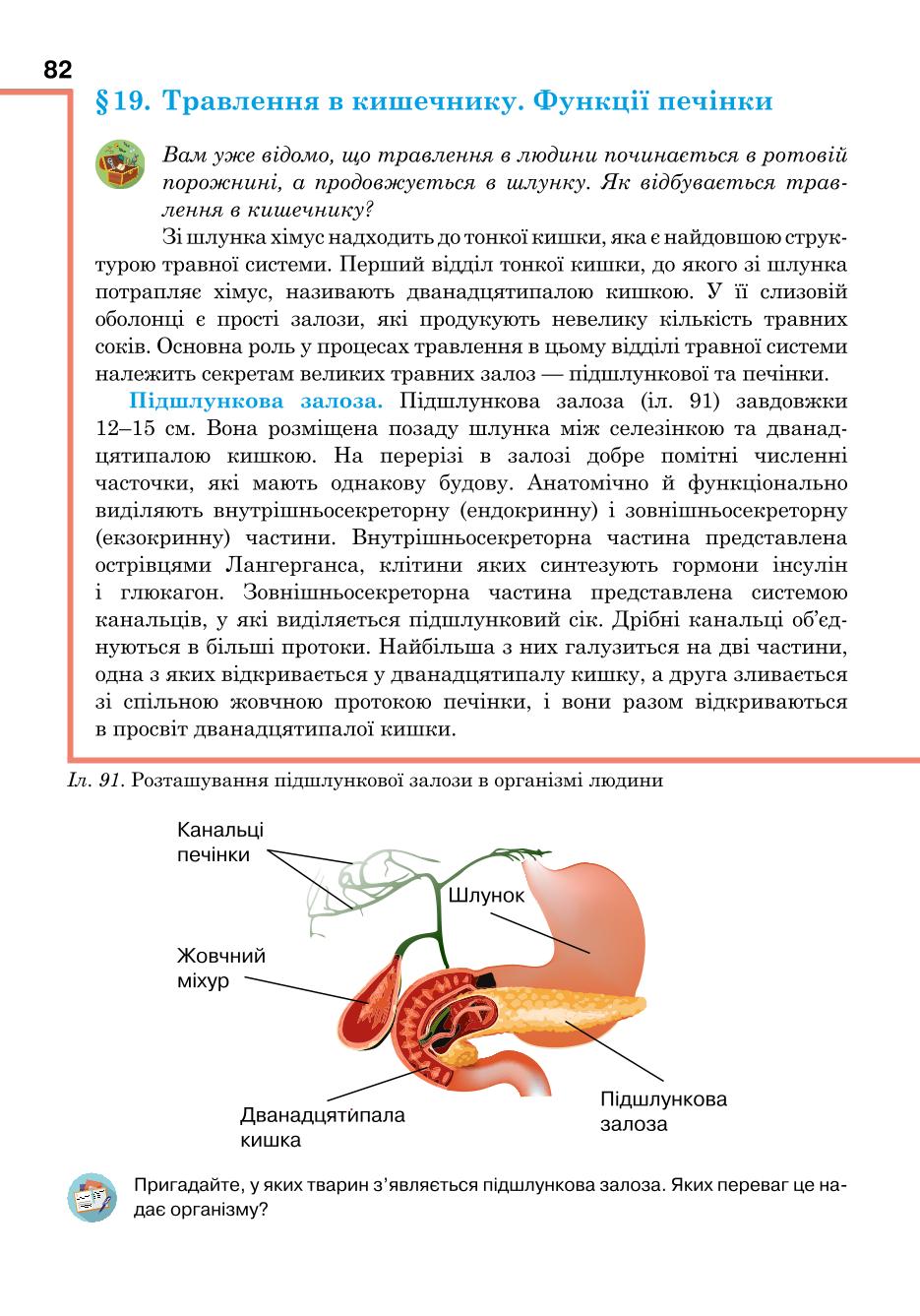 Мініатюра 82