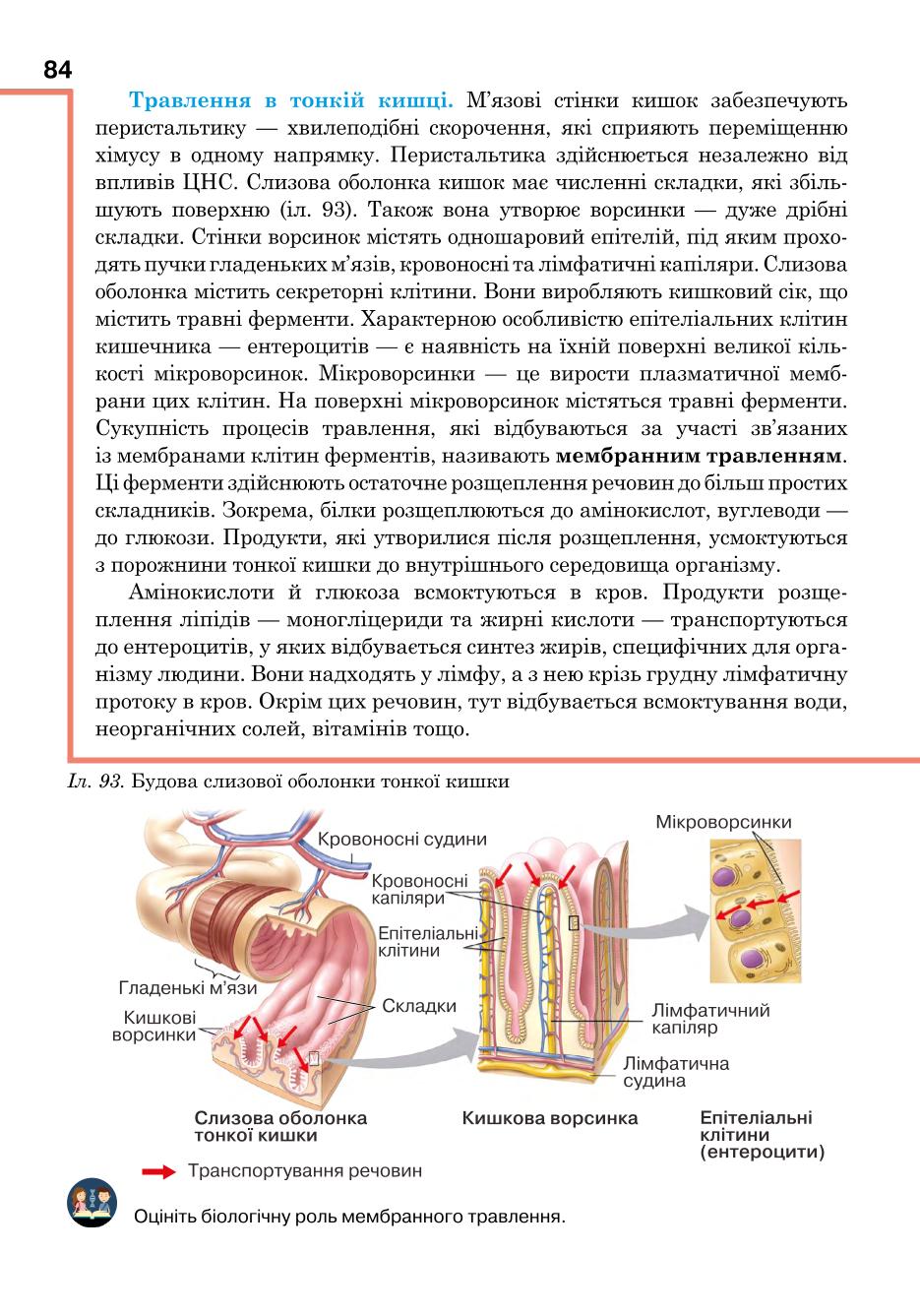 Мініатюра 84