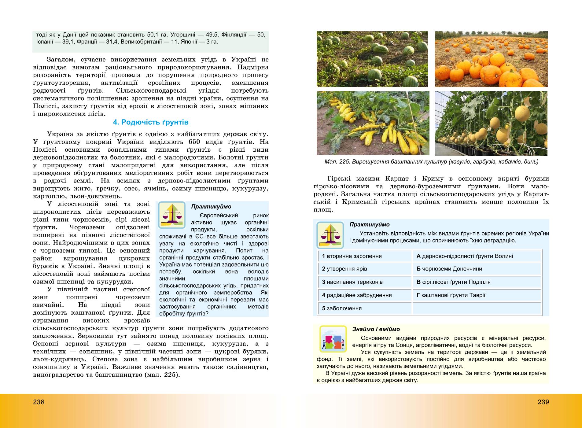 Мініатюра 120