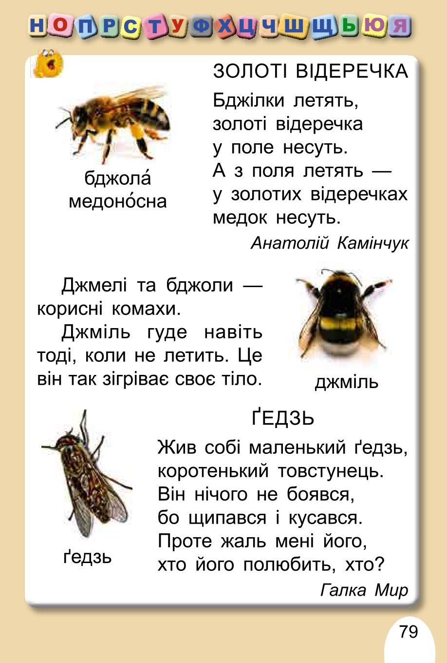 Мініатюра 79