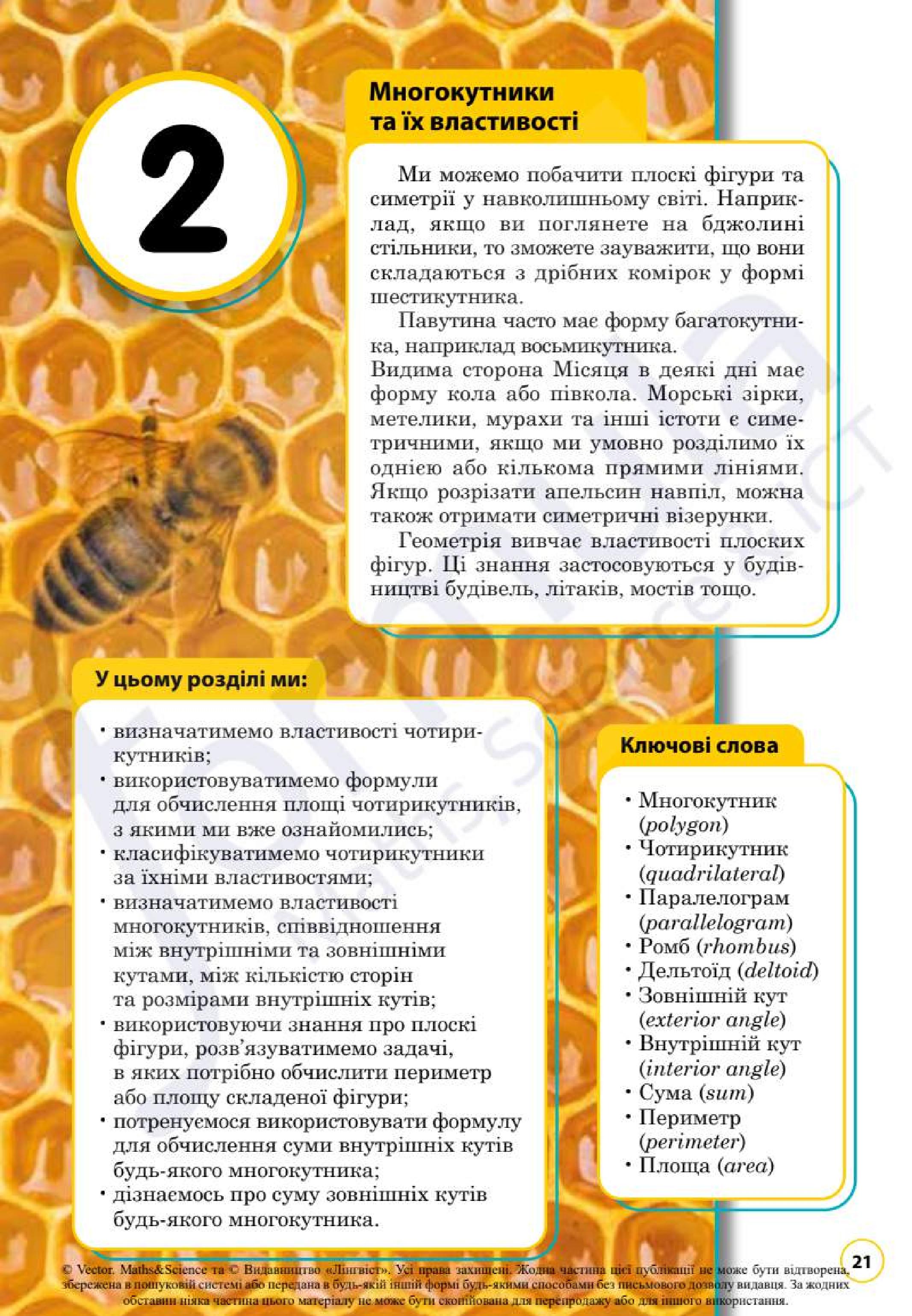 Мініатюра 21