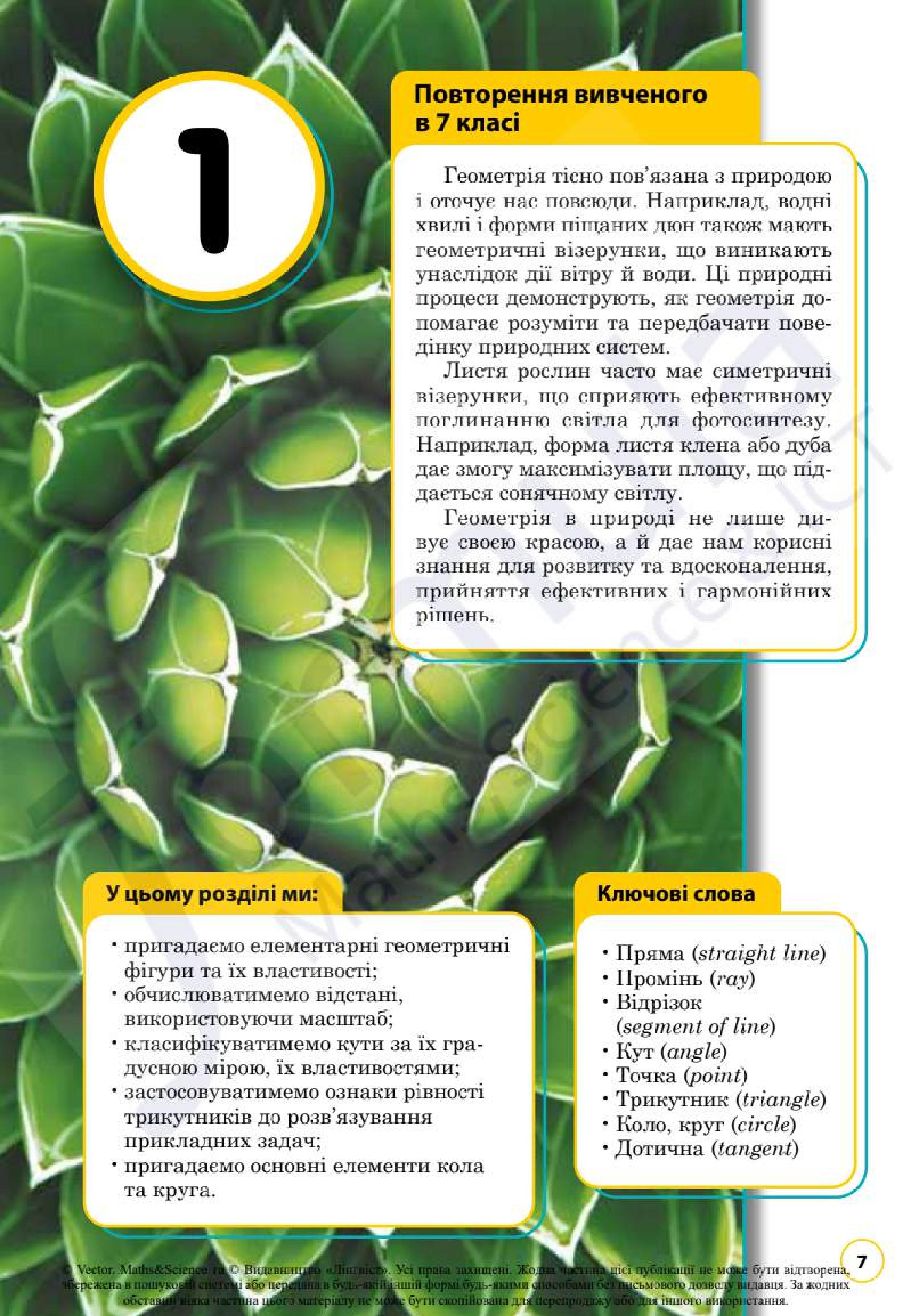 Мініатюра 7