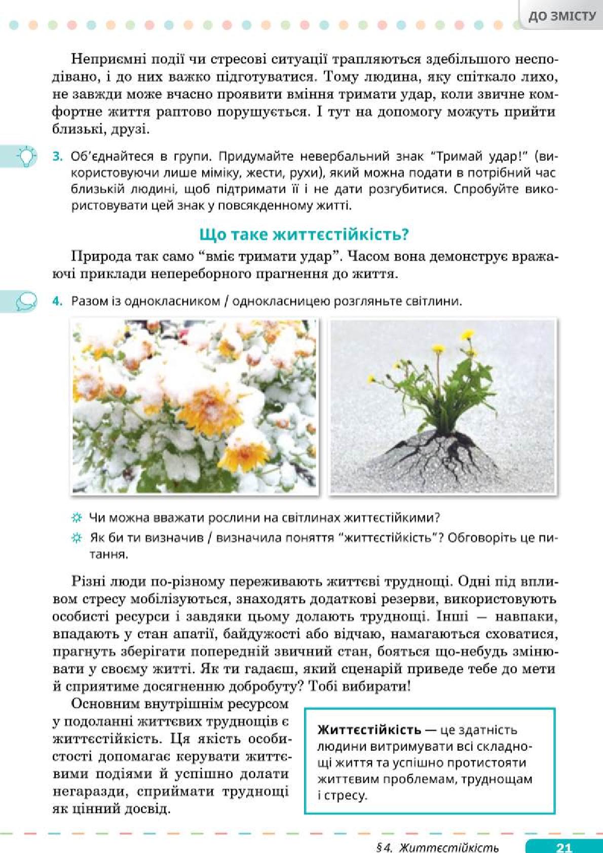 Мініатюра 21