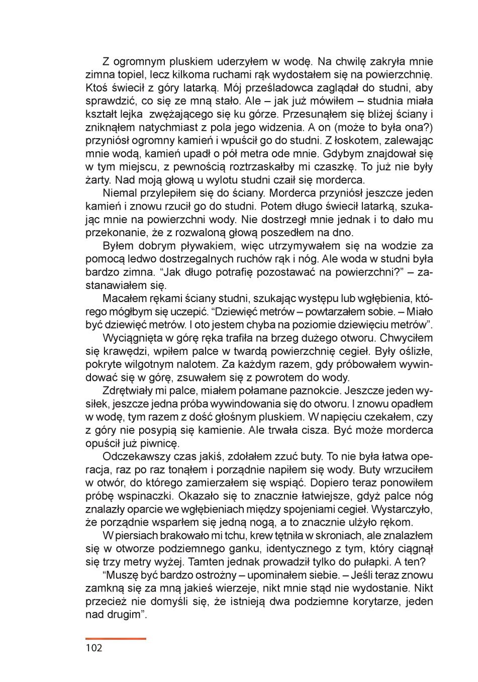 Мініатюра 102