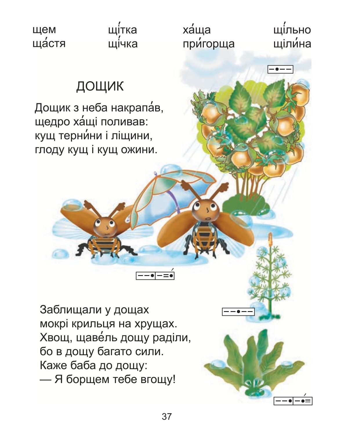 Мініатюра 37