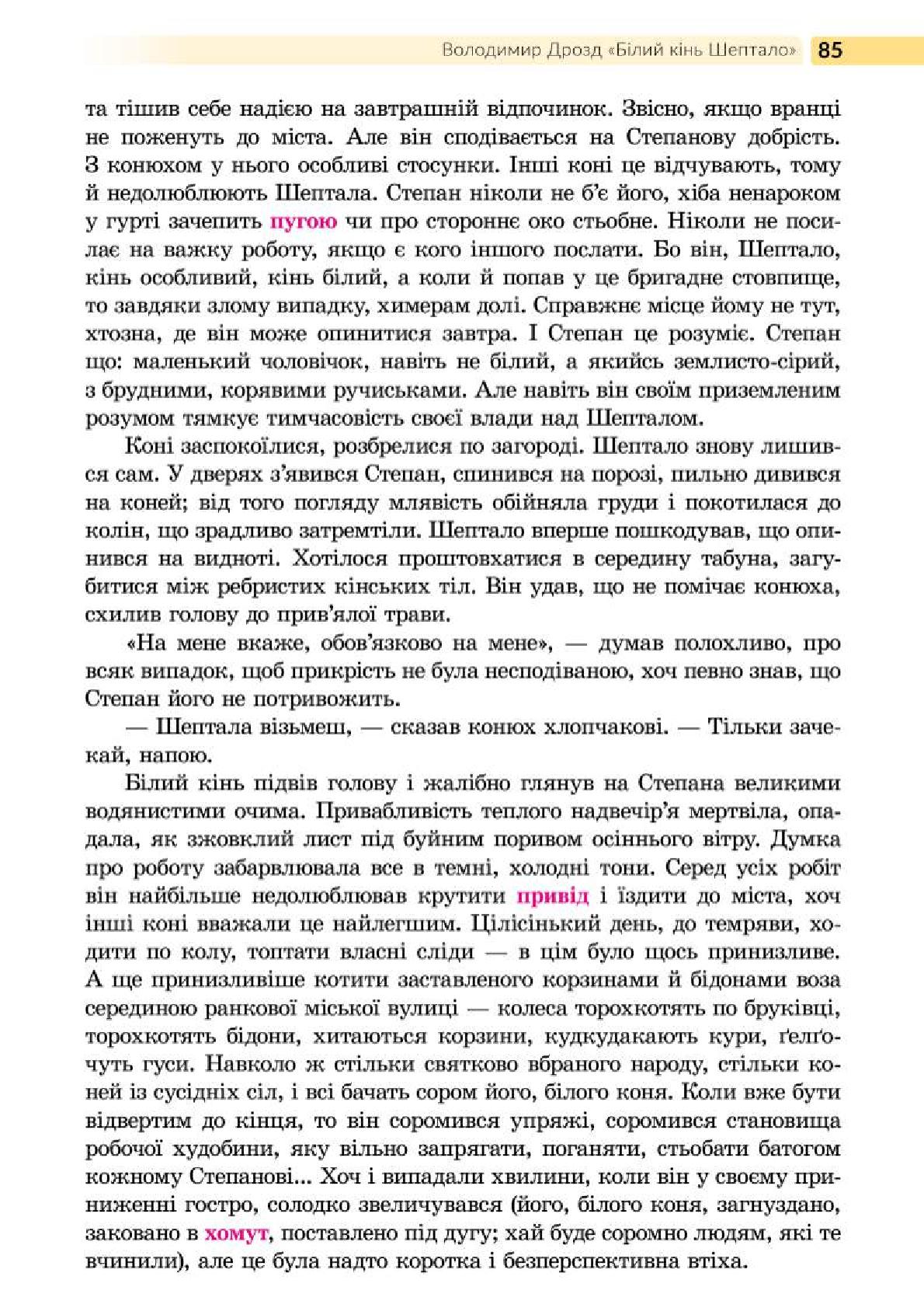 Мініатюра 85
