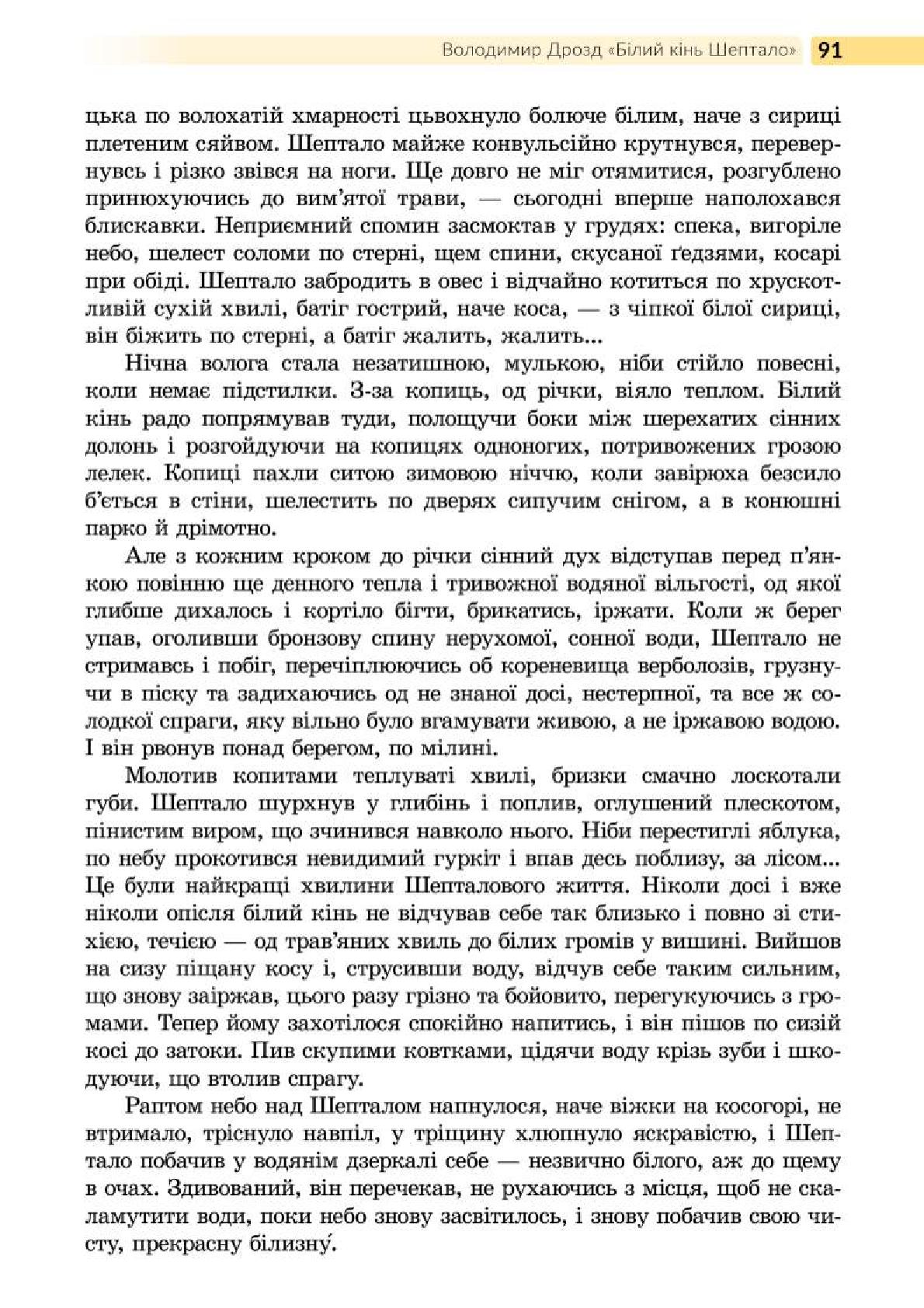 Мініатюра 91