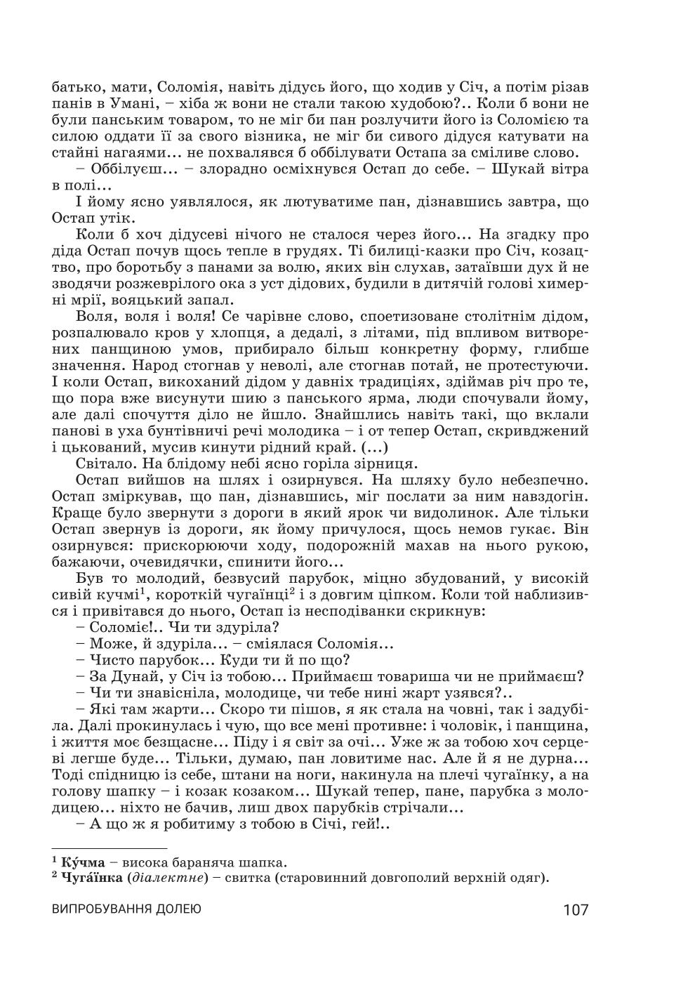Мініатюра 107