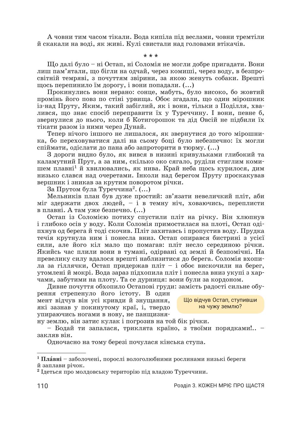 Мініатюра 110