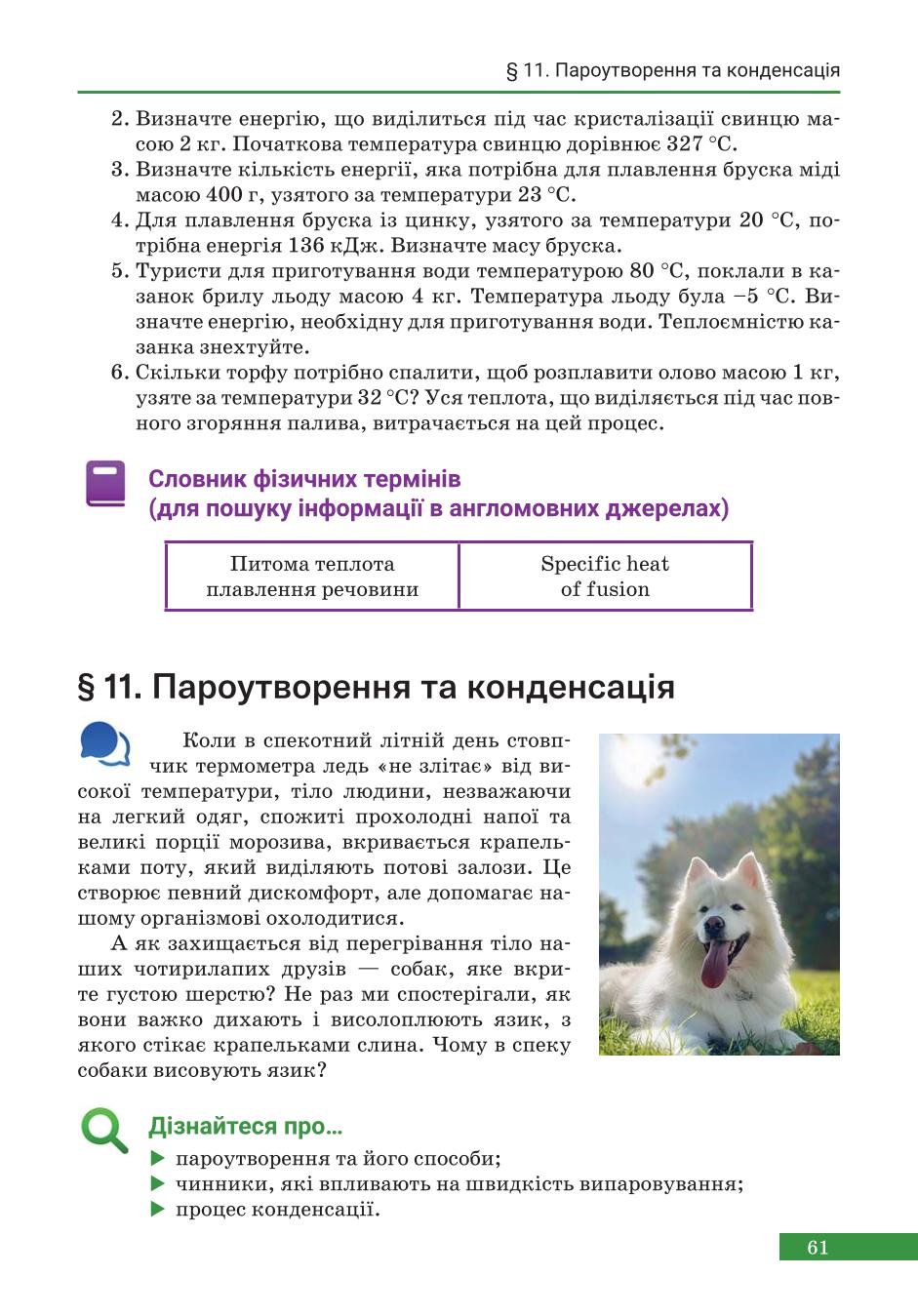 Мініатюра 61