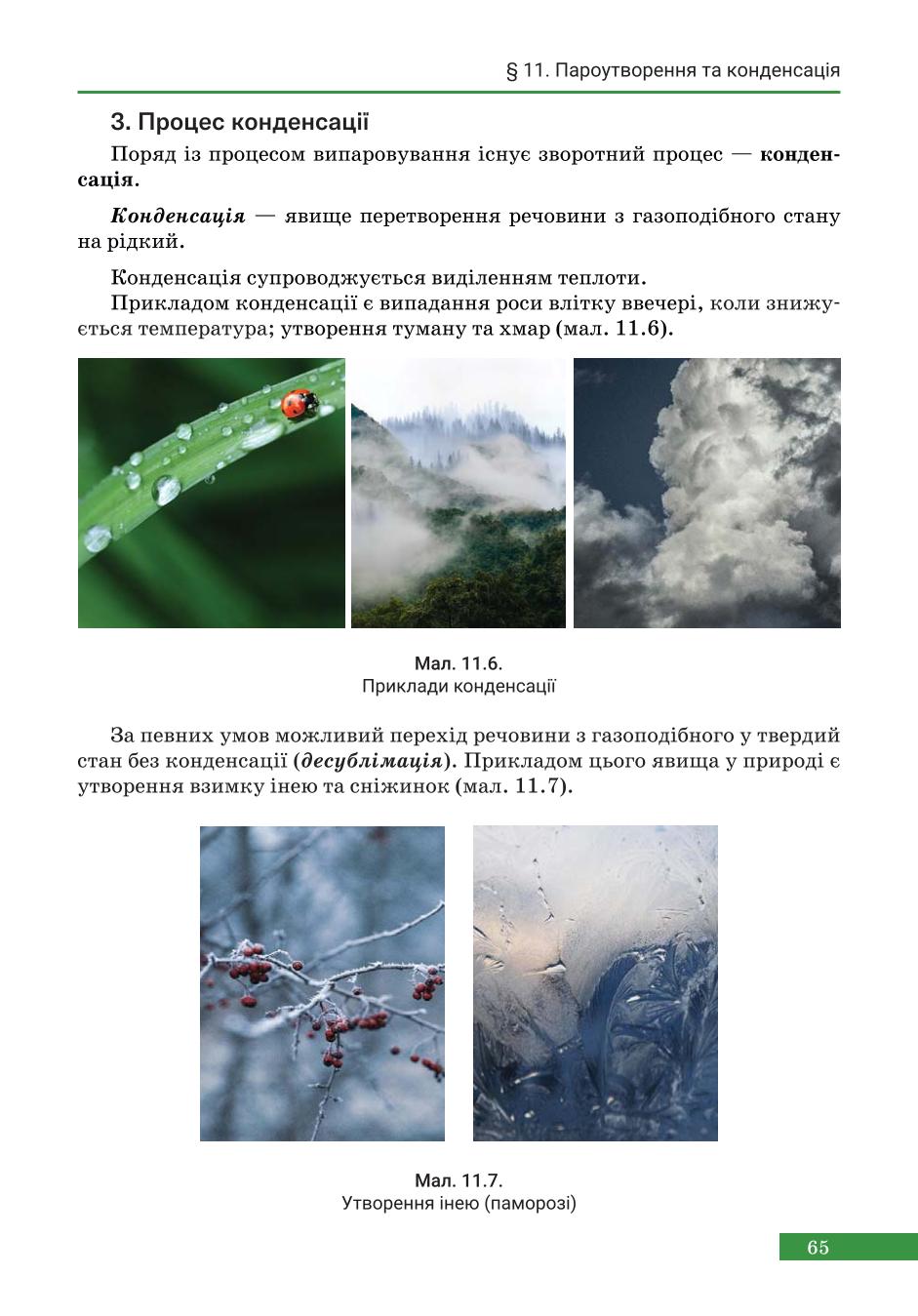 Мініатюра 65