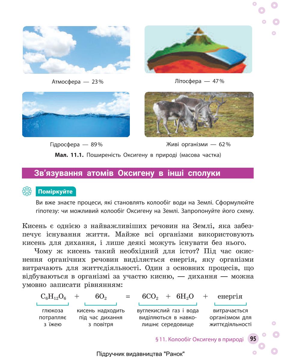 Мініатюра 95