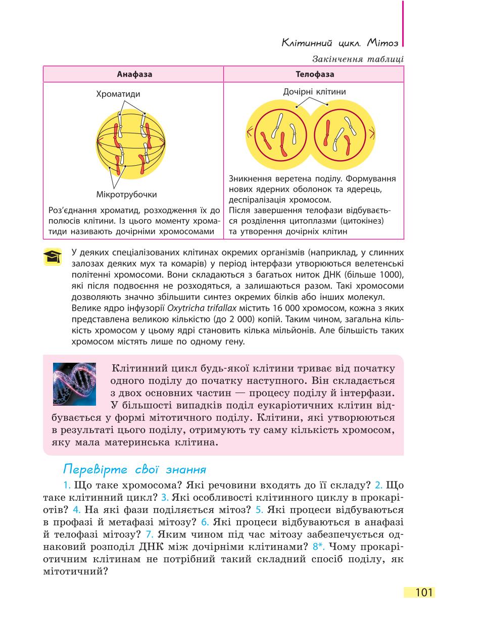 Мініатюра 101