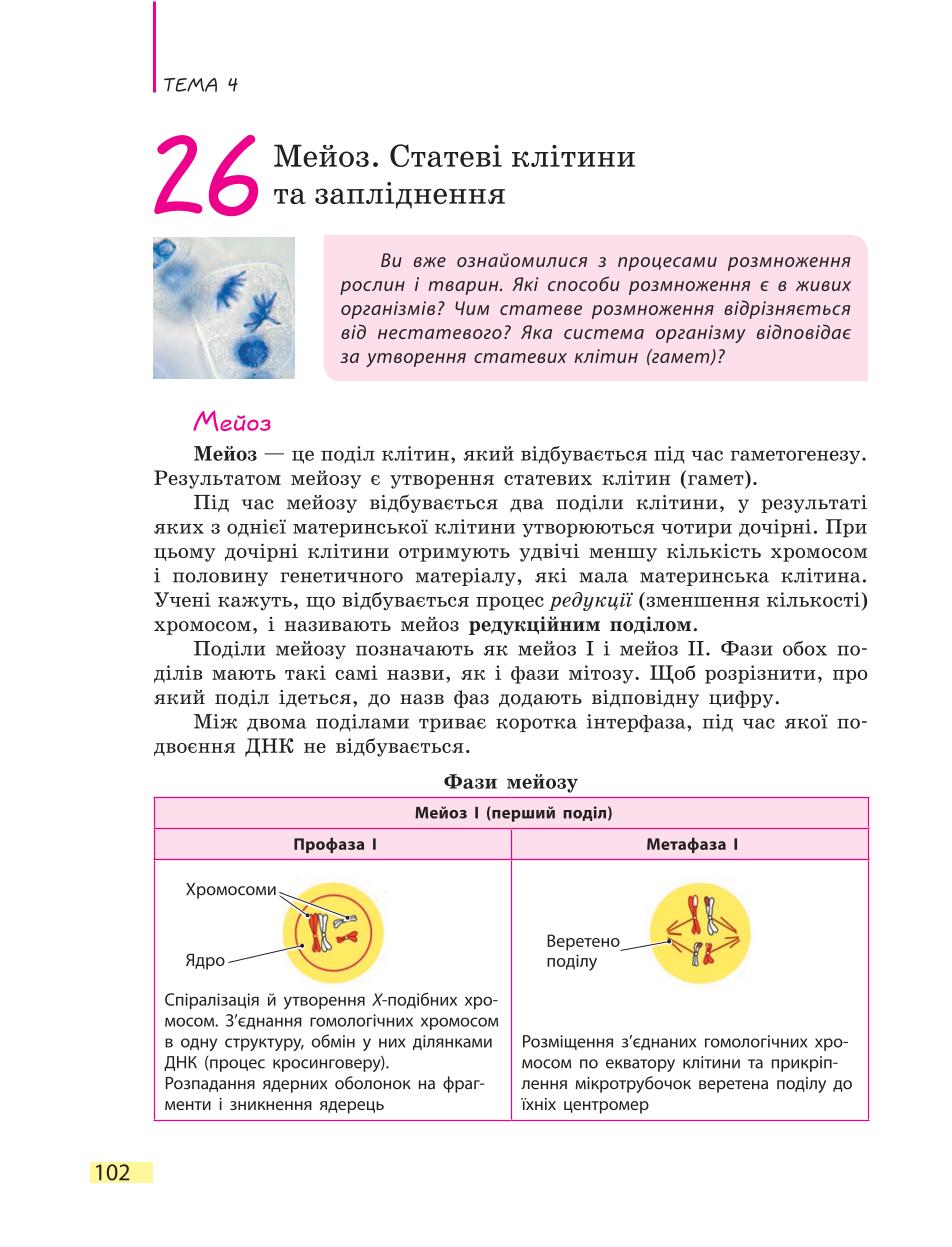 Мініатюра 102