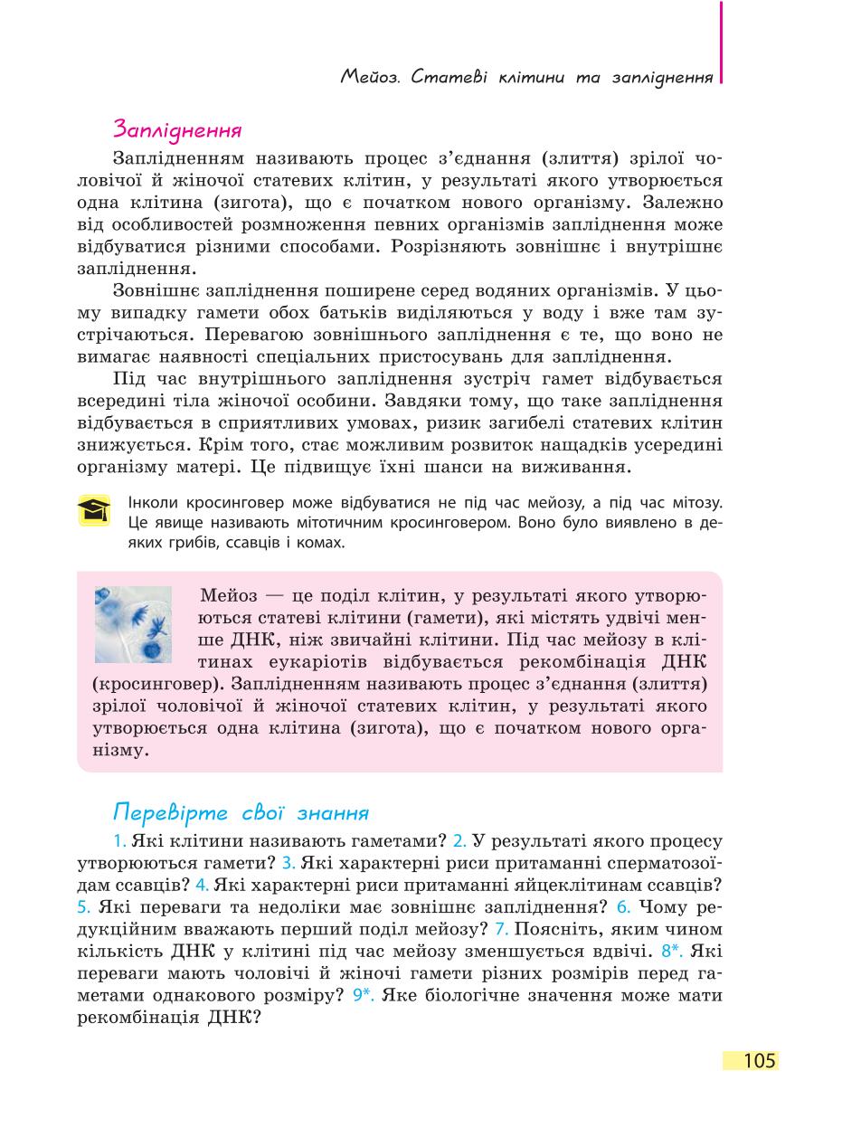 Мініатюра 105