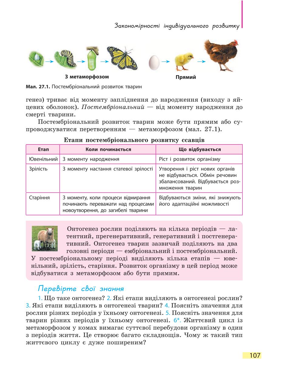 Мініатюра 107