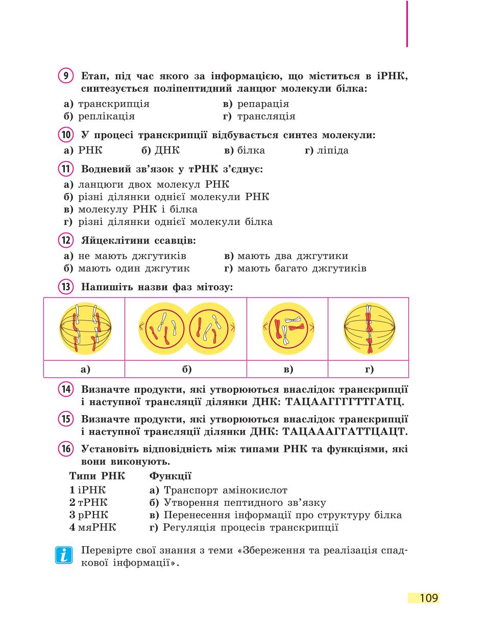 Мініатюра 109